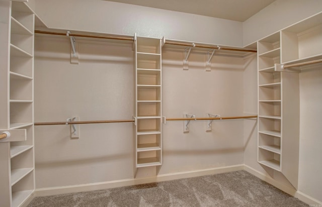 walk in closet featuring carpet