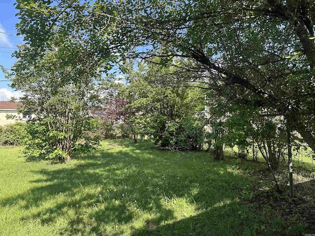 view of yard