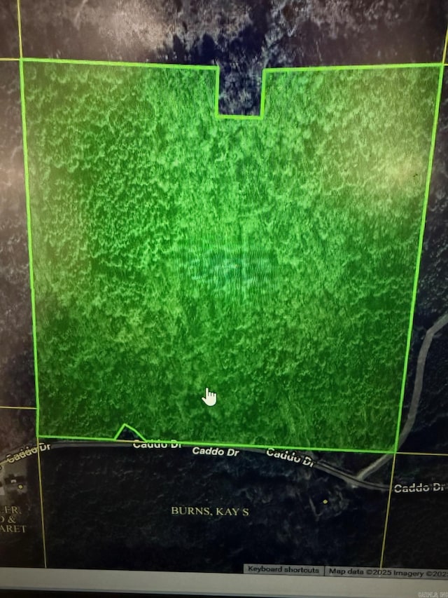 TBD Caddo Dr, Bismarck, AR 71929