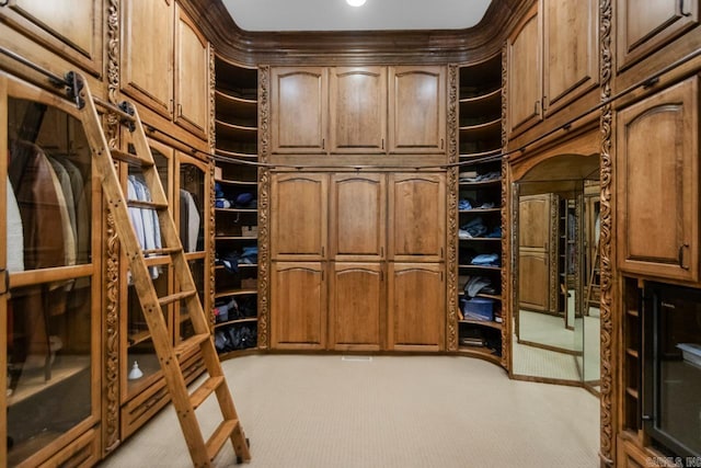 walk in closet with light colored carpet