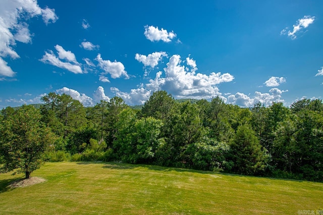 view of yard with a forest view