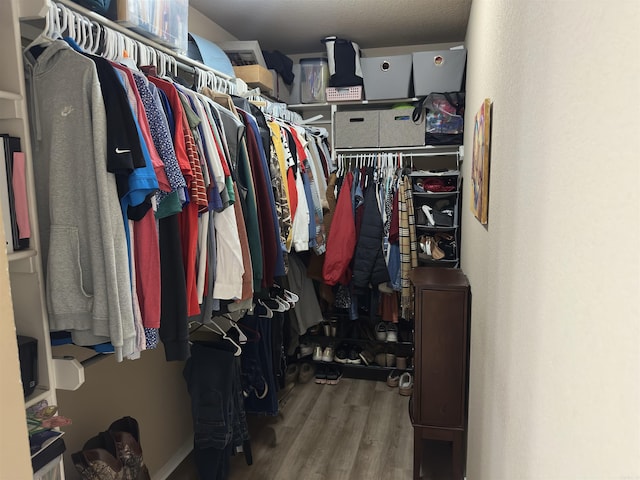walk in closet featuring wood finished floors