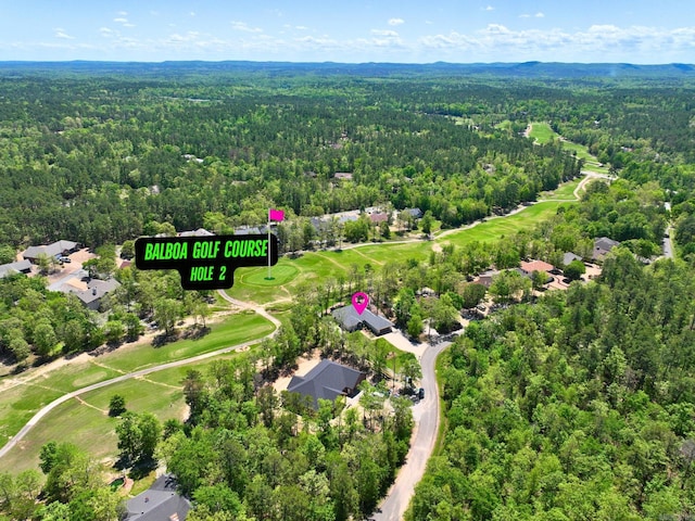 bird's eye view with a forest view