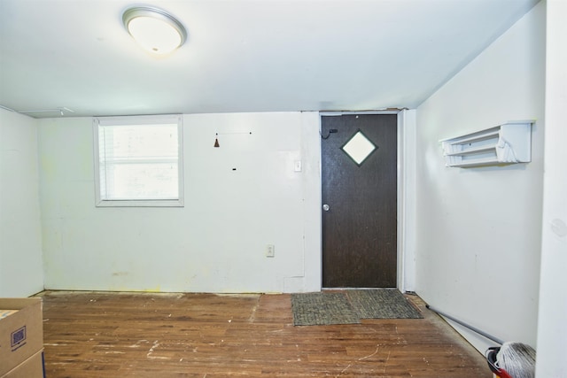 entrance foyer featuring wood finished floors