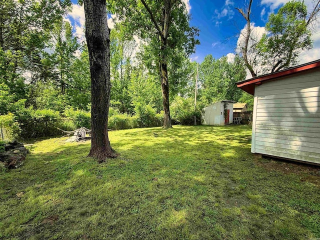 view of yard with an outbuilding and a storage unit