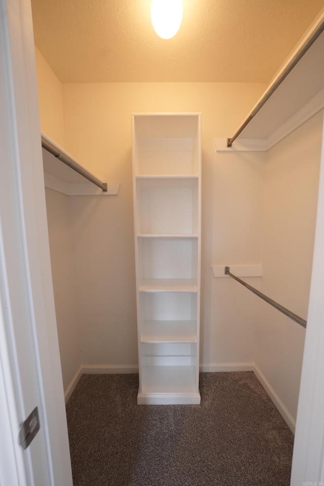 spacious closet with carpet flooring