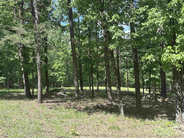 000 Boulder Blvd, Shirley, AR 72088
