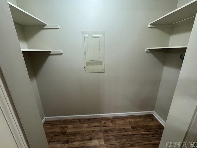 spacious closet featuring electric panel and dark wood-style floors