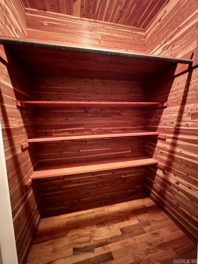 closet with a sauna
