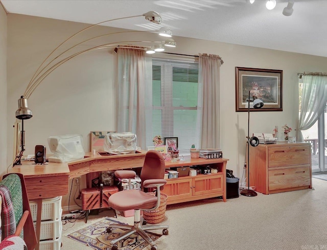 living area with carpet flooring