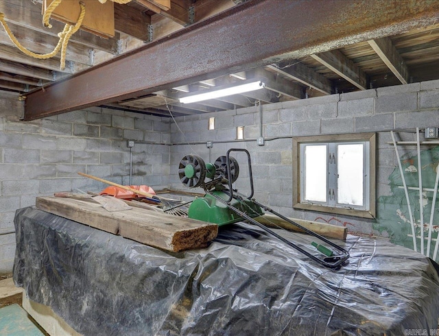 basement with concrete block wall