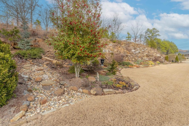 74 Greystone Blvd, Cabot, AR 72023 - view of yard
