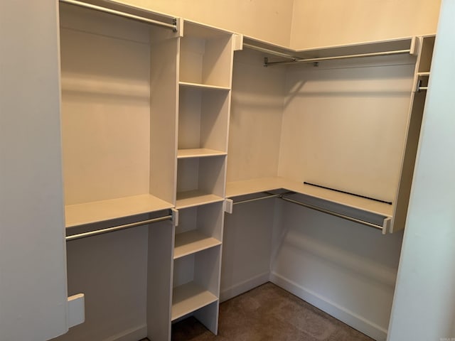 1360 Champions, Conway, AR 72034 - spacious closet with dark carpet