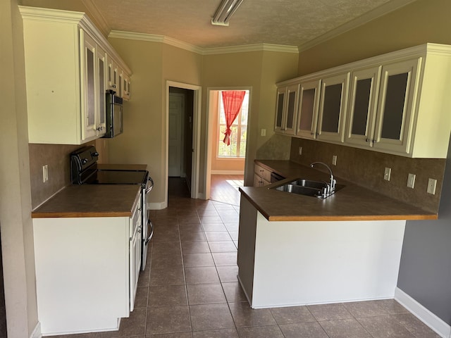 1360 Champions, Conway, AR 72034 - kitchen featuring dark countertops, range with electric cooktop, tasteful backsplash, and a sink