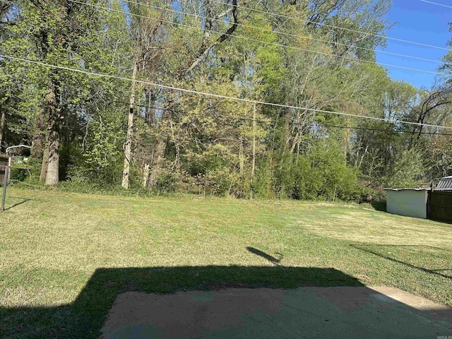 view of yard