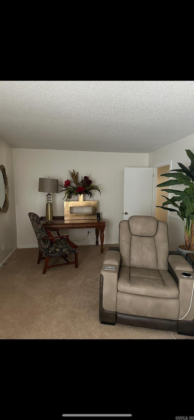 living area with carpet floors