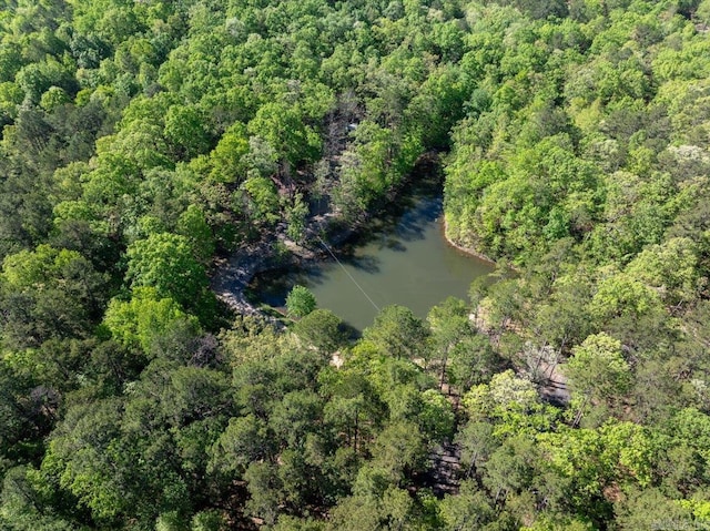 892 Hwy 375 E, Mena, AR 71953 - drone / aerial view with a water view and a view of trees