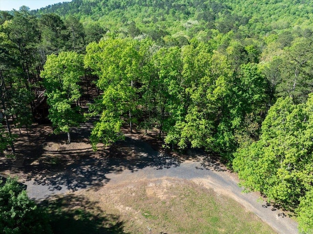 892 Hwy 375 E, Mena, AR 71953 - aerial view featuring a forest view