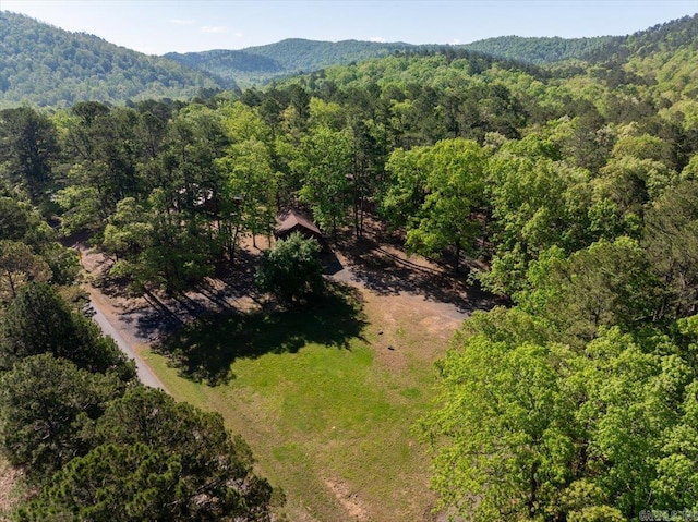 892 Hwy 375 E, Mena, AR 71953 - birds eye view of property featuring a mountain view and a view of trees