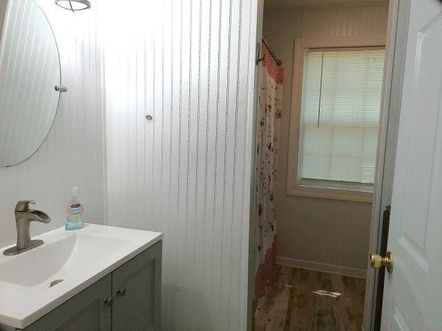 bathroom with wood finished floors, vanity, and a shower with curtain