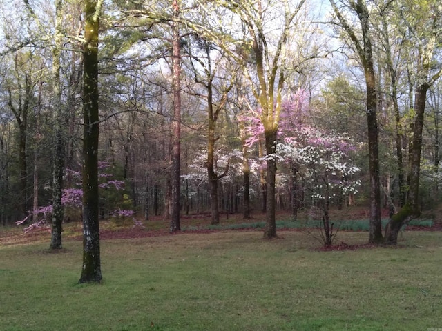 1494 N Miller Point Rd, Quitman, AR 72131 - view of yard with a wooded view