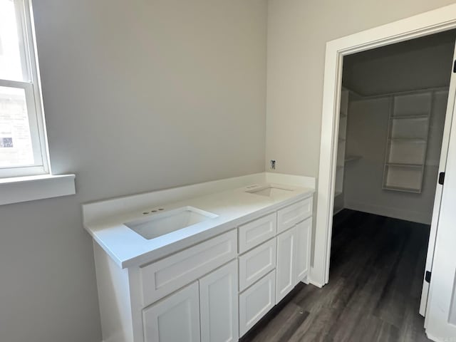 bathroom featuring a sink, double vanity, and wood finished floors