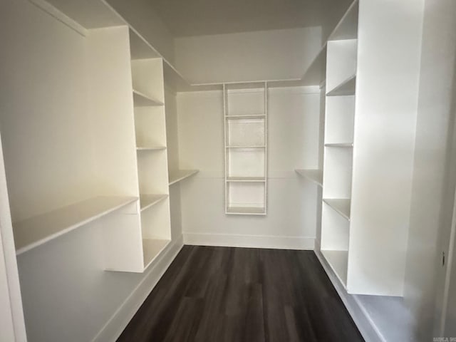 walk in closet featuring dark wood-type flooring
