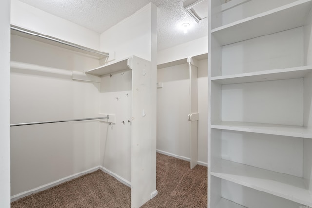 122 Apple Blossom Loop, Maumelle, AR 72113 - walk in closet featuring carpet flooring
