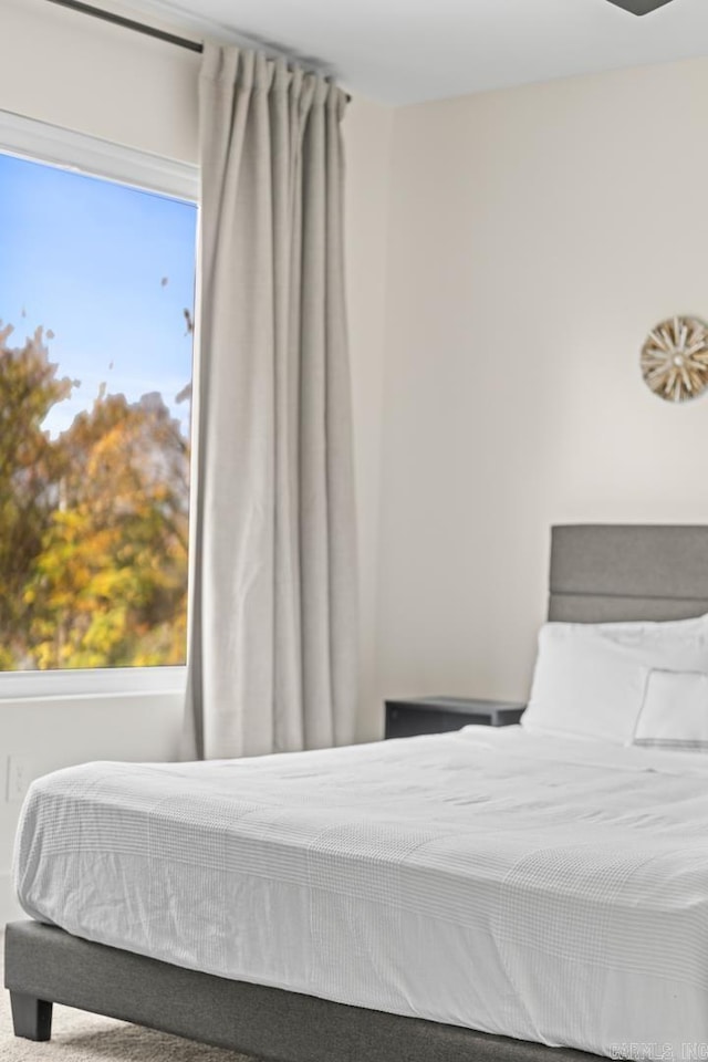 920 Park St, Little Rock, AR 72202 - view of bedroom
