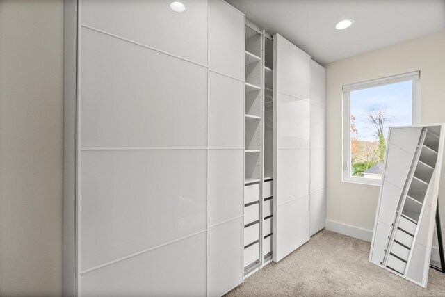 920 Park St, Little Rock, AR 72202 - view of closet