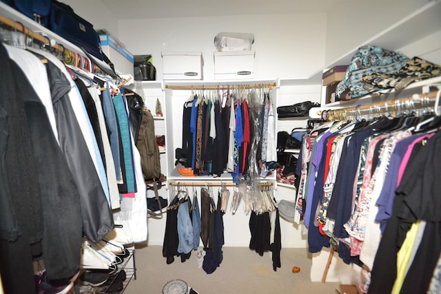 3810 Hanover Dr, Bryant, AR 72022 - view of spacious closet