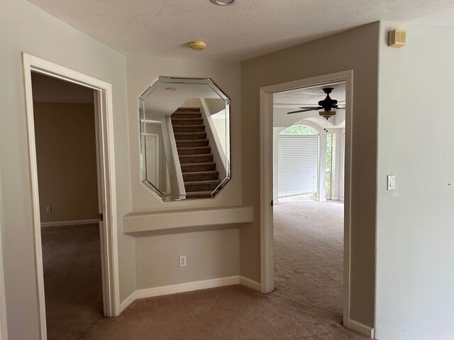1906 Carolyn Dr, Jonesboro, AR 72404 - hallway with carpet flooring, a textured ceiling, and baseboards