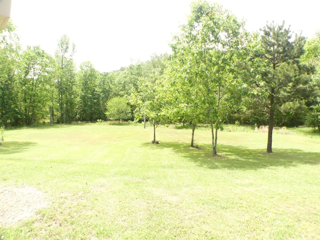 137 Gone Fishin Ln, Mena, AR 71953 - view of green lawn