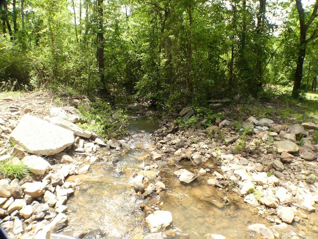 137 Gone Fishin Ln, Mena, AR 71953 - view of wooded area