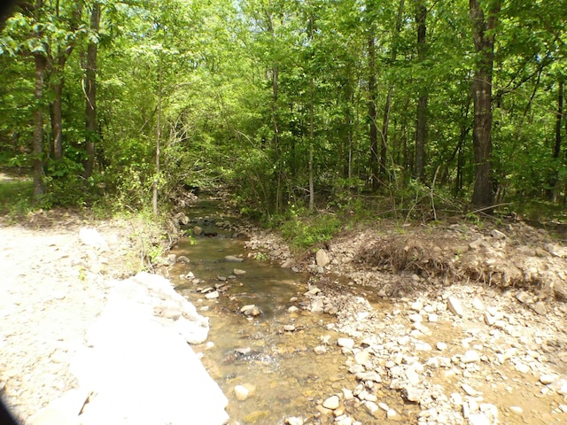 137 Gone Fishin Ln, Mena, AR 71953 - view of undeveloped land