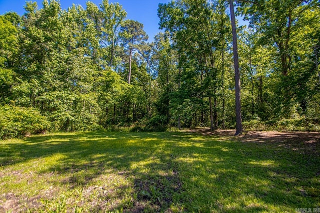1504 W Woodson Lateral Rd, Hensley, AR 72065 - view of yard
