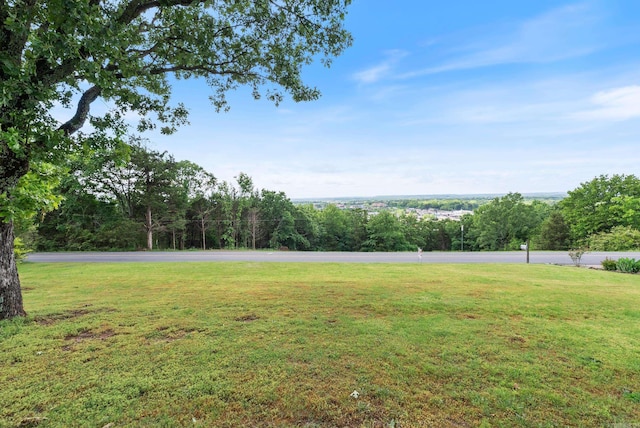 1000 Grandview Heights Dr, Conway, AR 72032 - view of grassy yard
