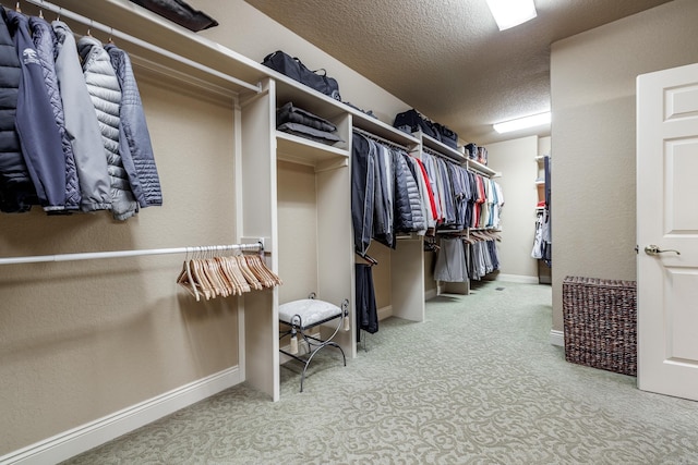 5 Granada Ln, Hot Springs Village, AR 71909 - walk in closet with carpet
