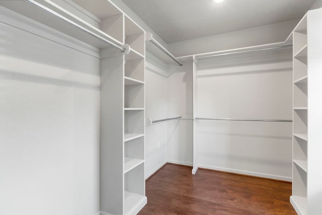 walk in closet with wood finished floors