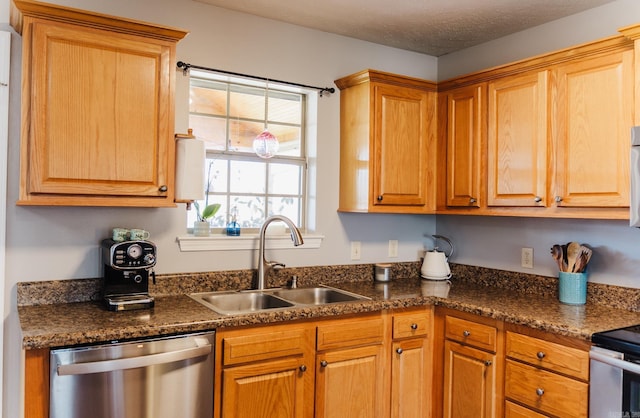 kitchen with stainless steel dishwasher, a sink, and range