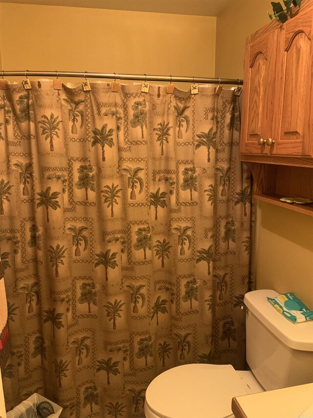 bathroom with toilet, a shower with shower curtain, and vanity