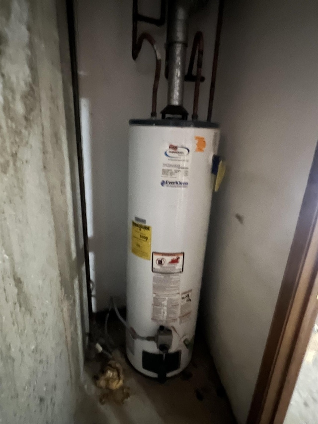 240 Round Up Ln, Mountain Home, AR 72653 - utility room with gas water heater