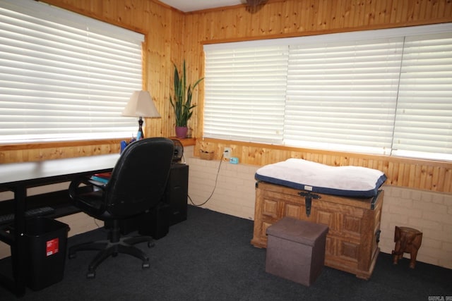 1108 N 14th St, Nashville, AR 71852 - carpeted home office featuring wooden walls, plenty of natural light, and wainscoting