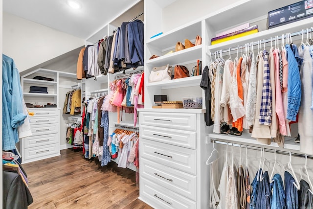 17 Cove Creek Pt, Little Rock, AR 72211 - spacious closet featuring wood finished floors
