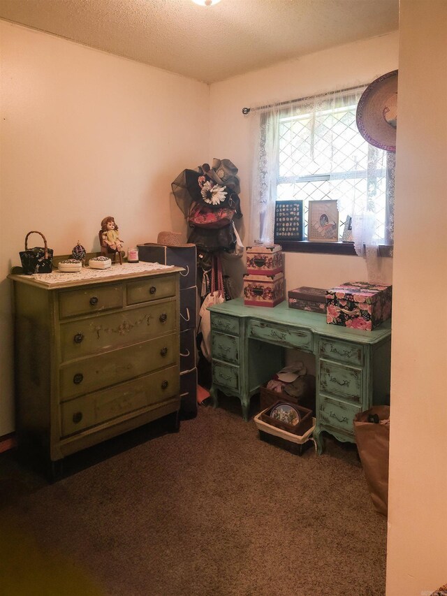 163 Junior Cir, Clinton, AR 72031 - carpeted office with a textured ceiling