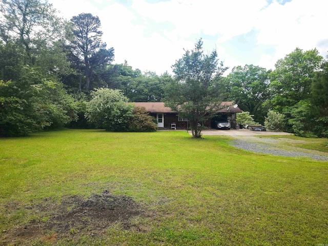 163 Junior Cir, Clinton, AR 72031 - view of grassy yard with driveway and a carport