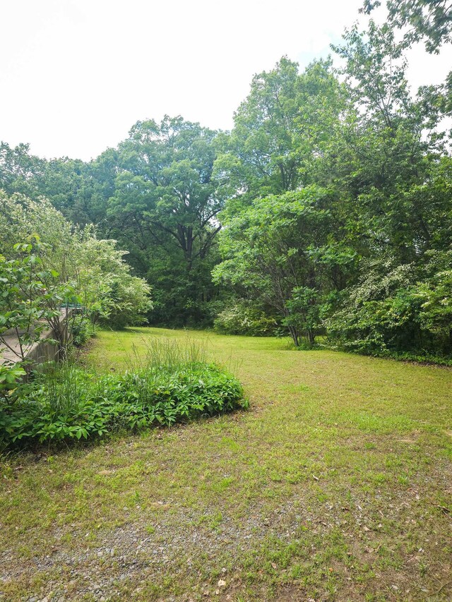 163 Junior Cir, Clinton, AR 72031 - view of grassy yard with a forest view