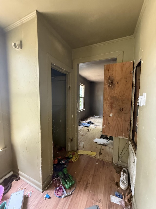 corridor with crown molding and wood finished floors