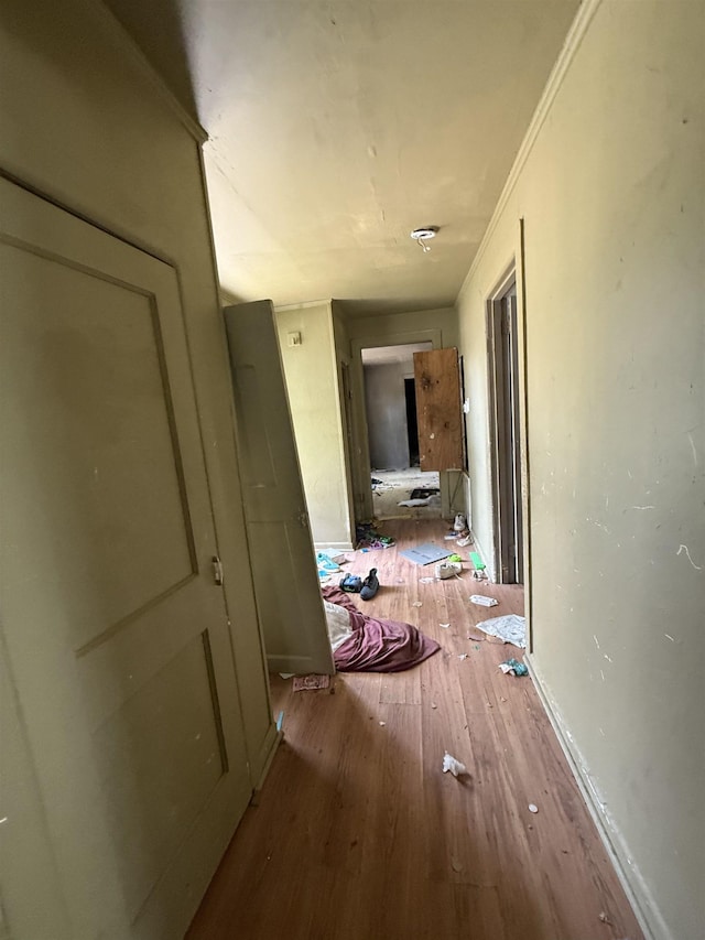 corridor featuring hardwood / wood-style floors