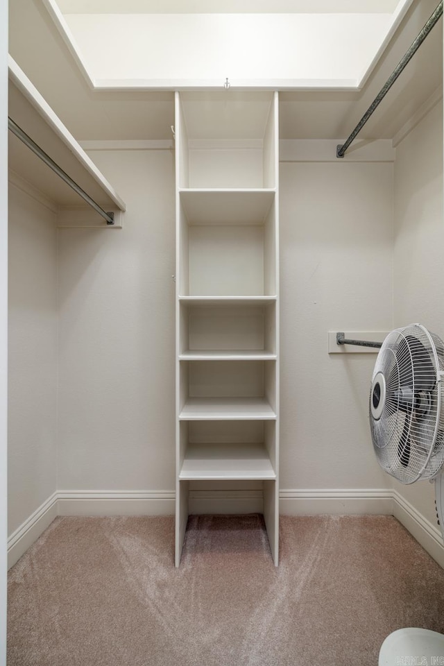 134 Myrick Ln, Hot Springs, AR 71913 - walk in closet with carpet floors